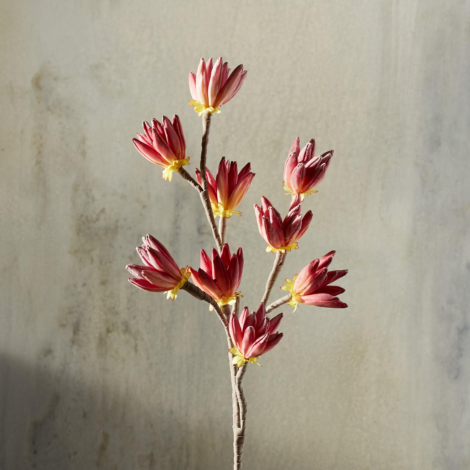 sundance-Bountiful Botanicals-Sundance Outlet