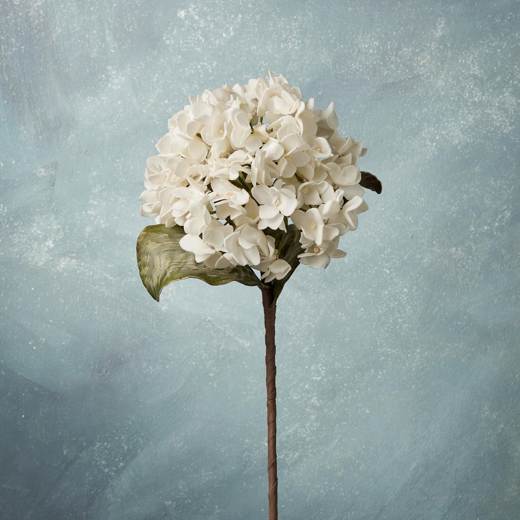 sundance-Bountiful Botanicals-Sundance Outlet