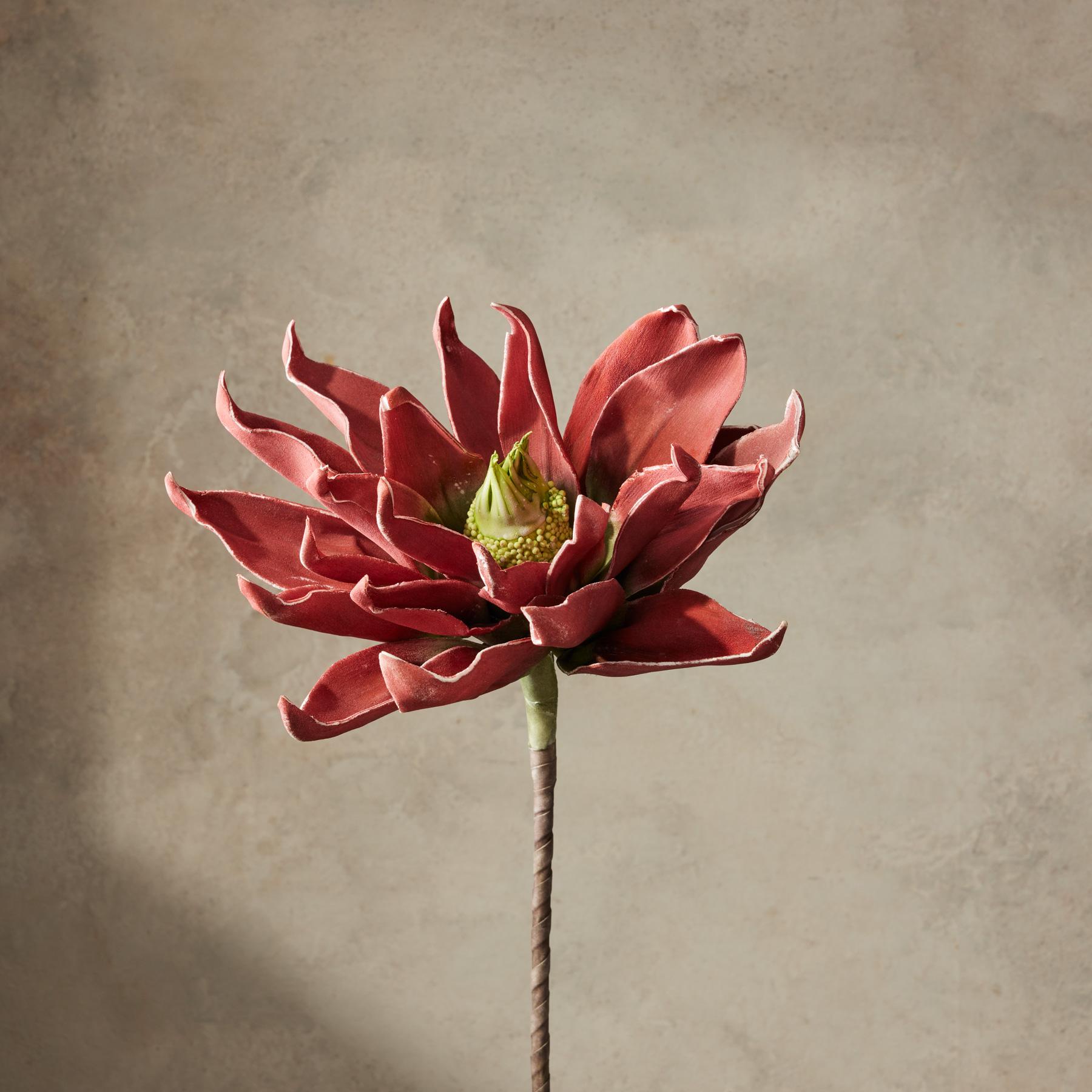 sundance-Bountiful Botanicals-Sundance Outlet