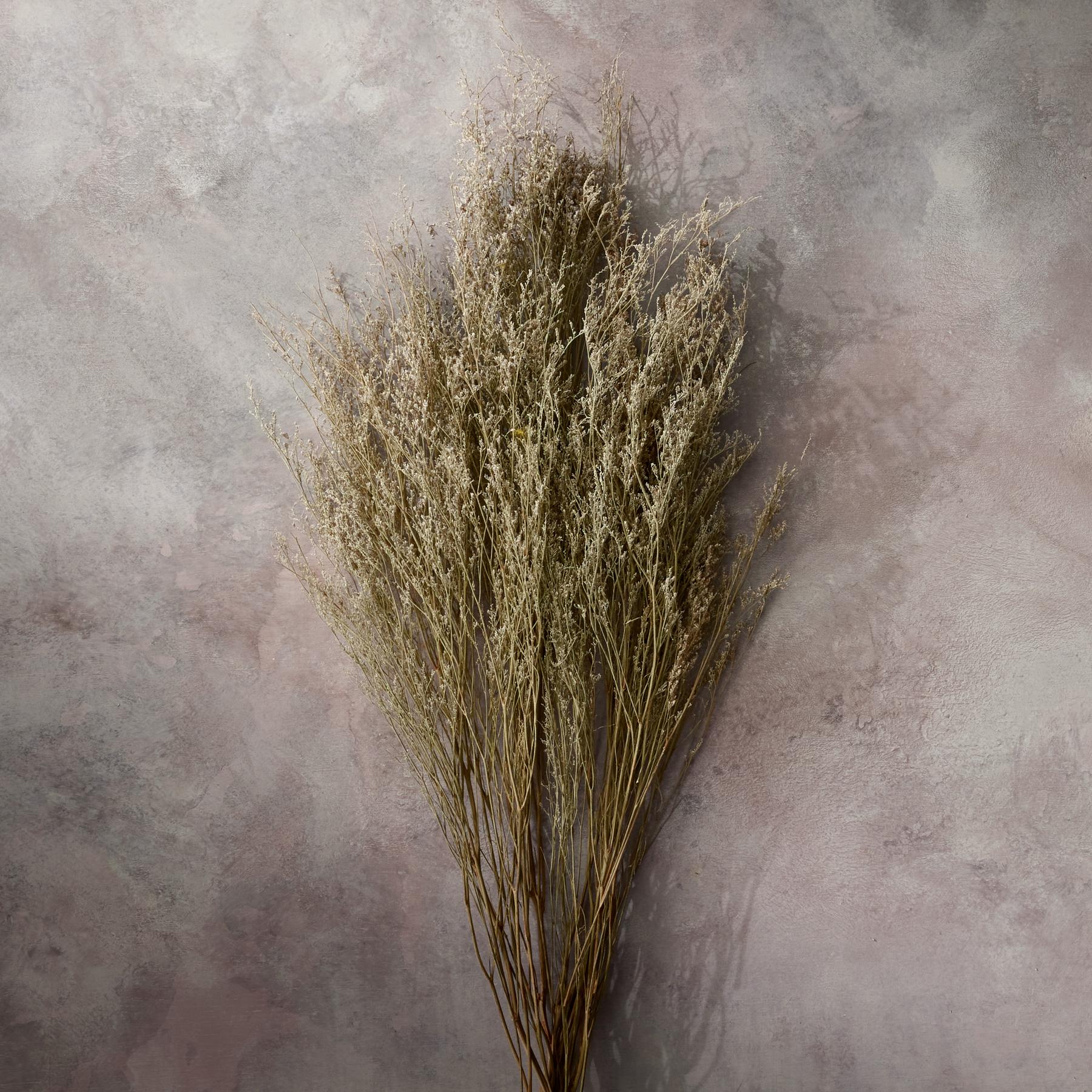 sundance-Countryside Dried Botanics-Sundance Outlet