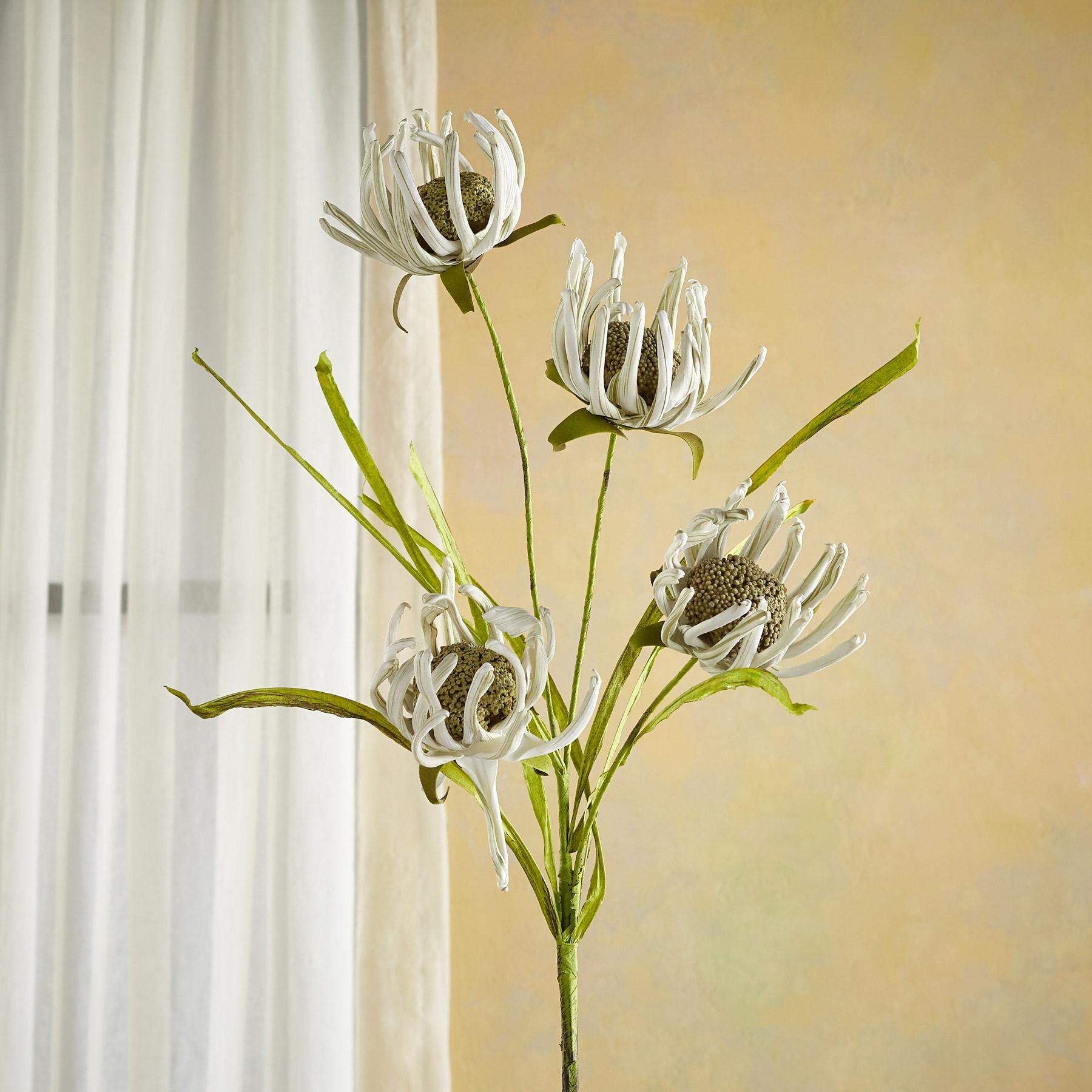 sundance-Bountiful Botanicals-Sundance Outlet