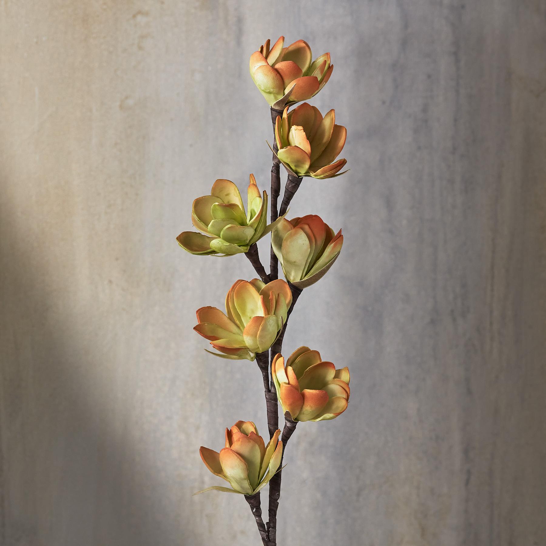 sundance-Bountiful Botanicals-Sundance Outlet