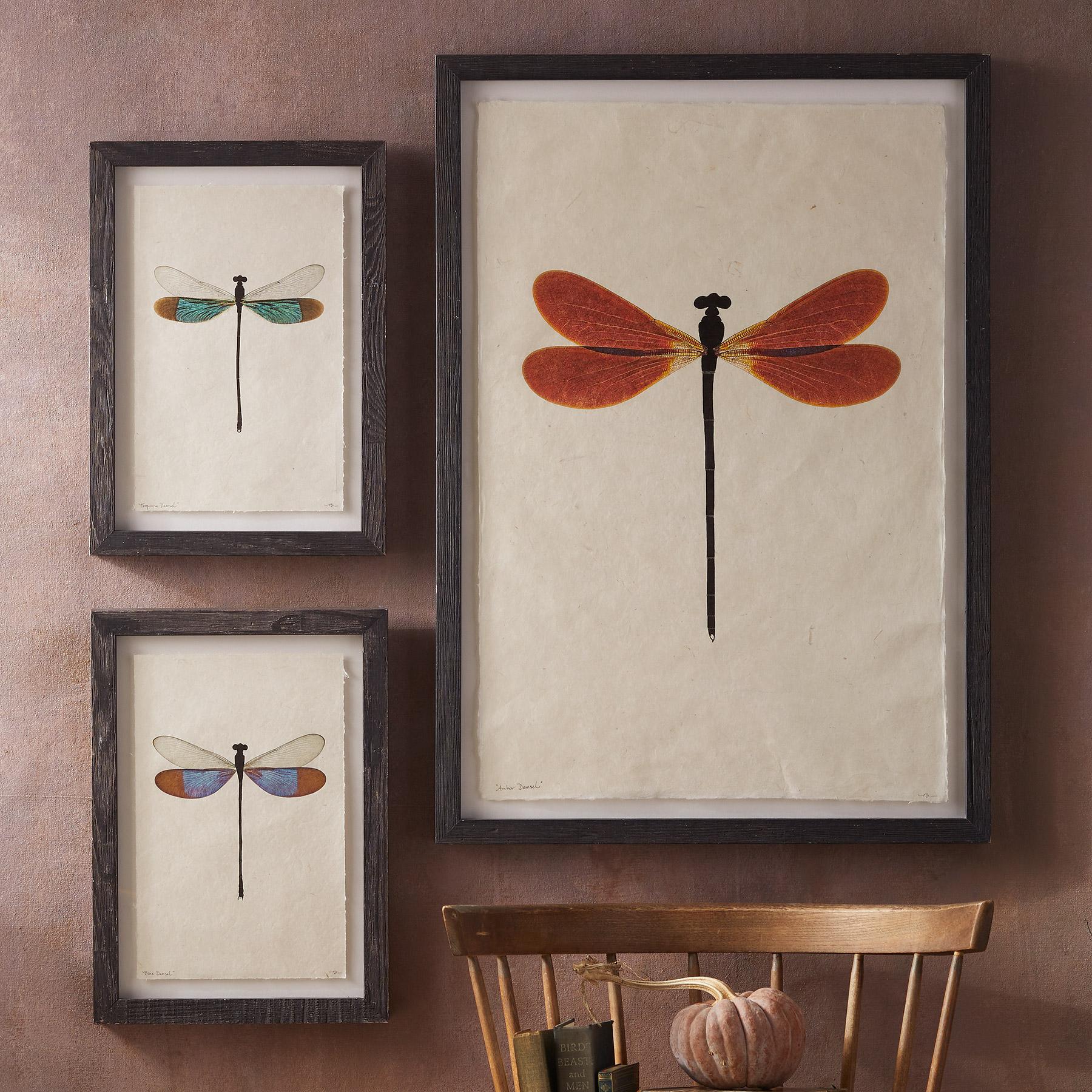 sundance-Dragonfly Studies Prints-Sundance Outlet