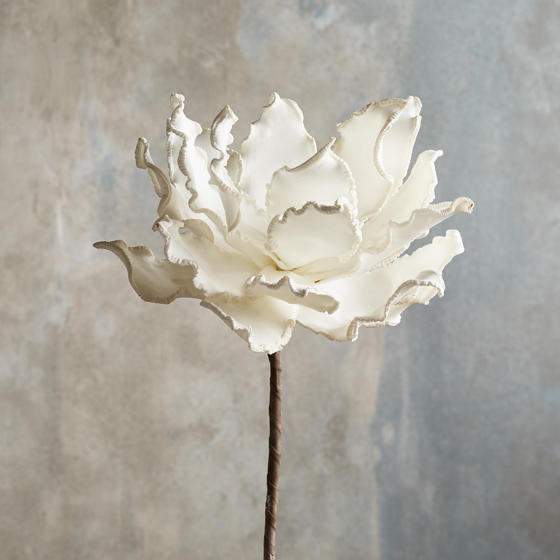 sundance-Bountiful Botanicals-Sundance Outlet