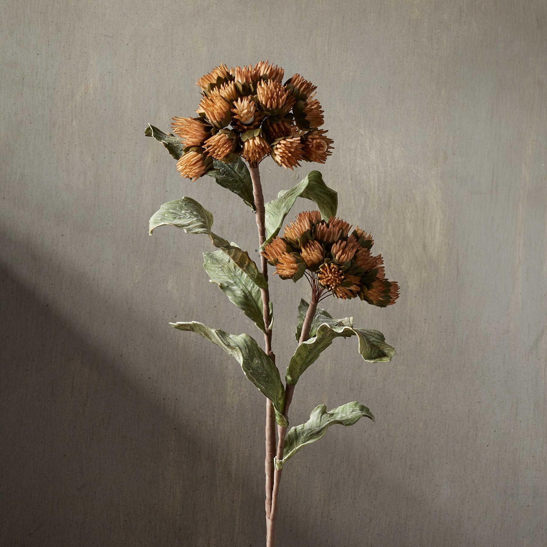 sundance-Bountiful Botanicals-Sundance Outlet