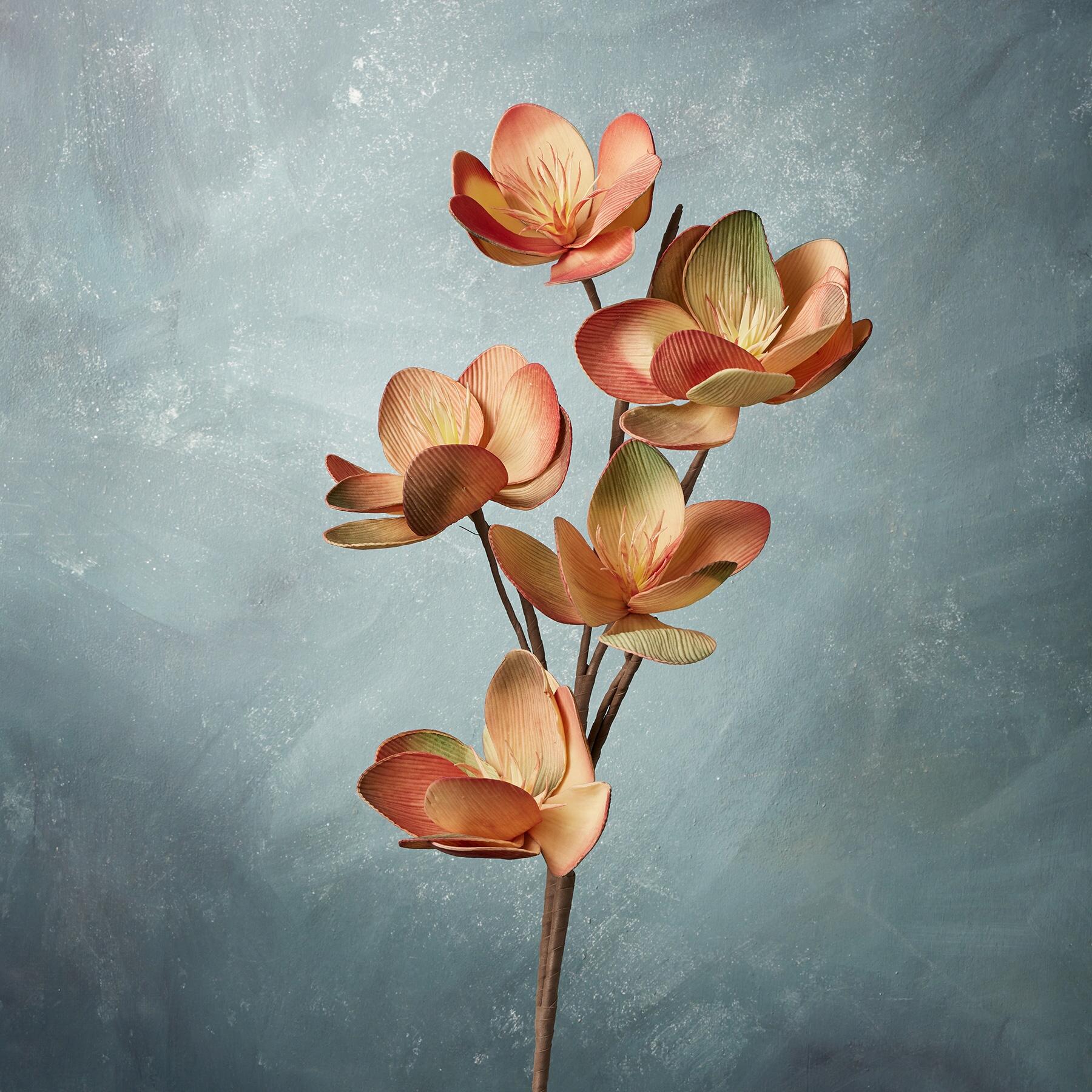 sundance-Bountiful Botanicals-Sundance Outlet