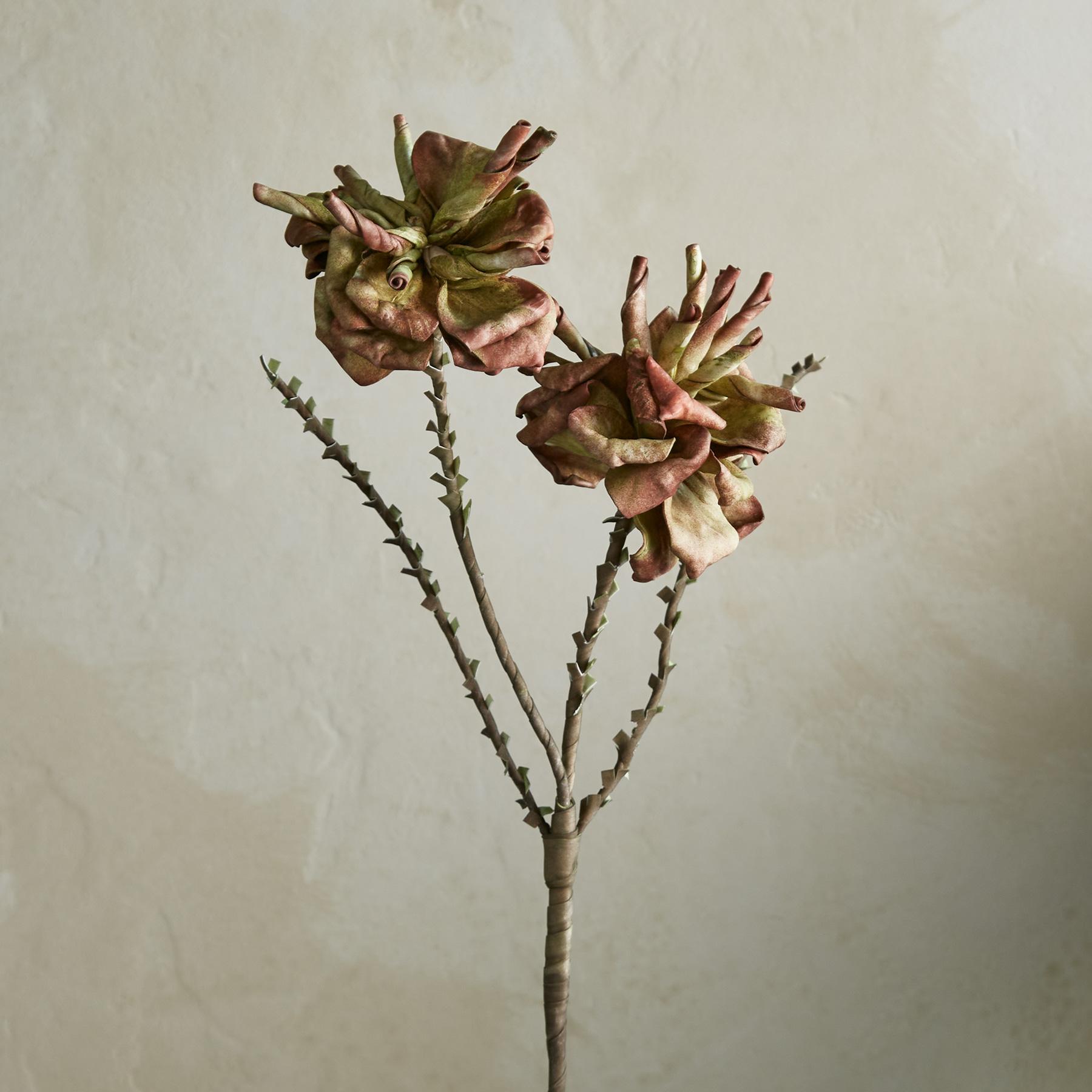 sundance-Bountiful Botanicals-Sundance Outlet