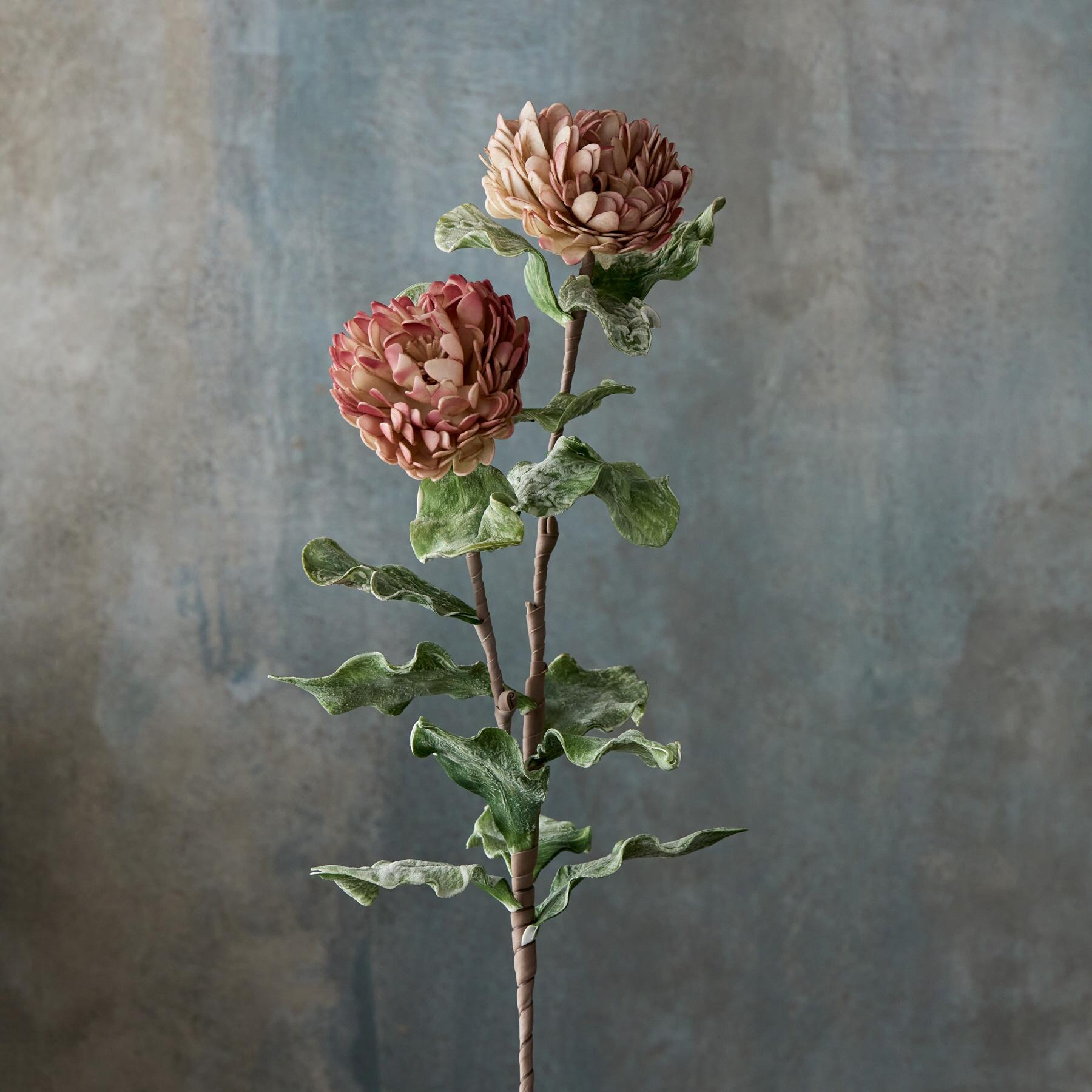 sundance-Bountiful Botanicals-Sundance Outlet