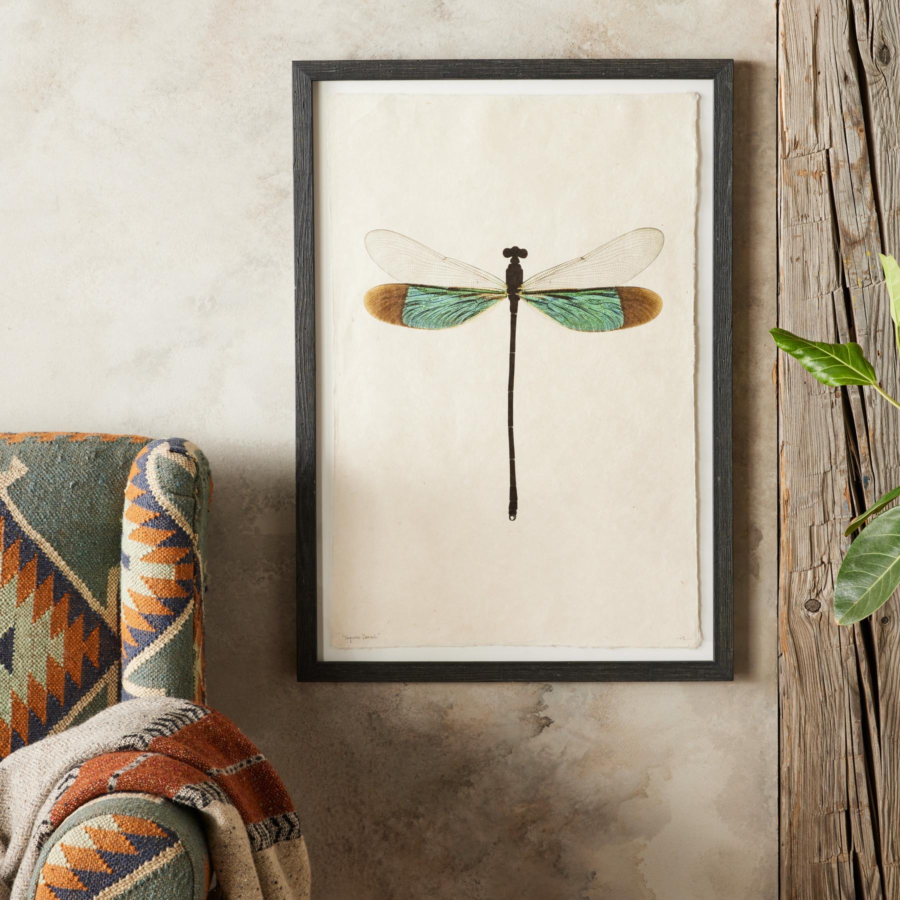 sundance-Dragonfly Studies Prints-Sundance Outlet