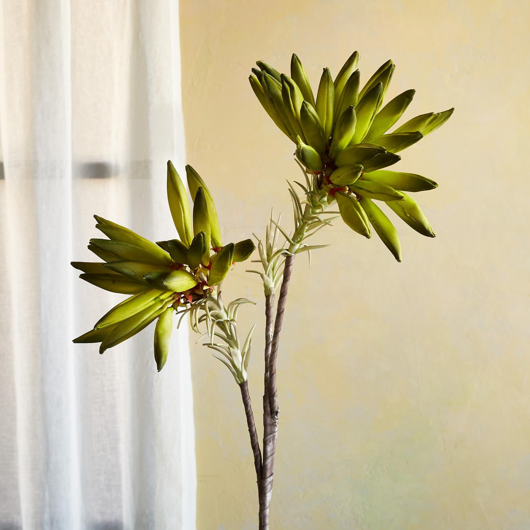 sundance-Bountiful Botanicals-Sundance Outlet