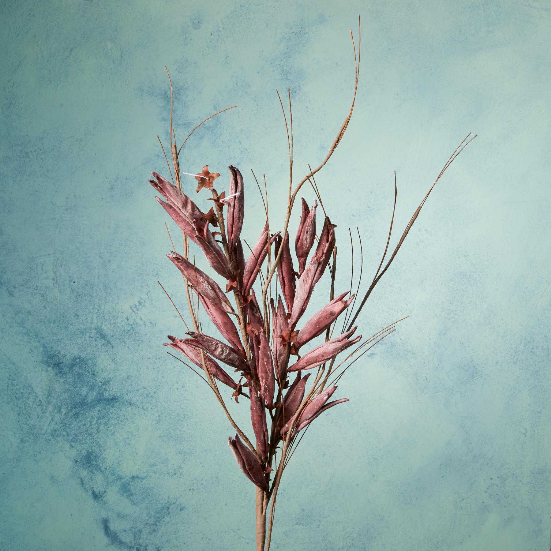 sundance-Bountiful Botanicals-Sundance Outlet