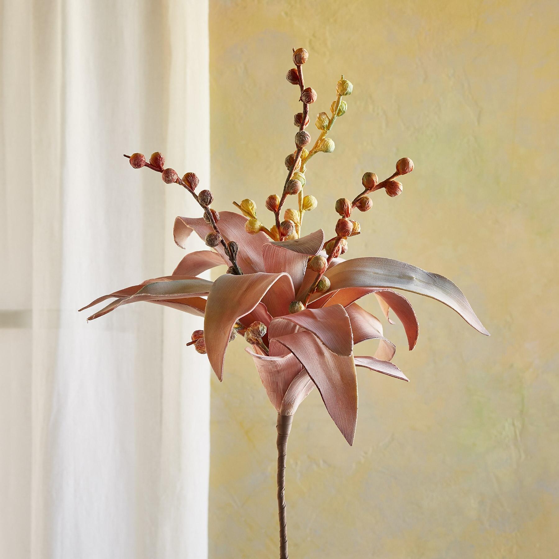 sundance-Bountiful Botanicals-Sundance Outlet