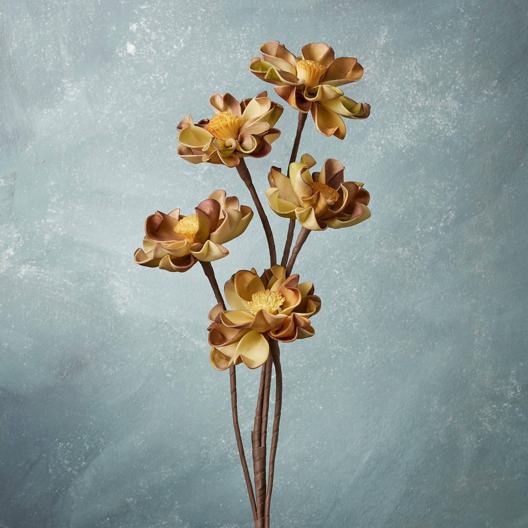 sundance-Bountiful Botanicals-Sundance Outlet