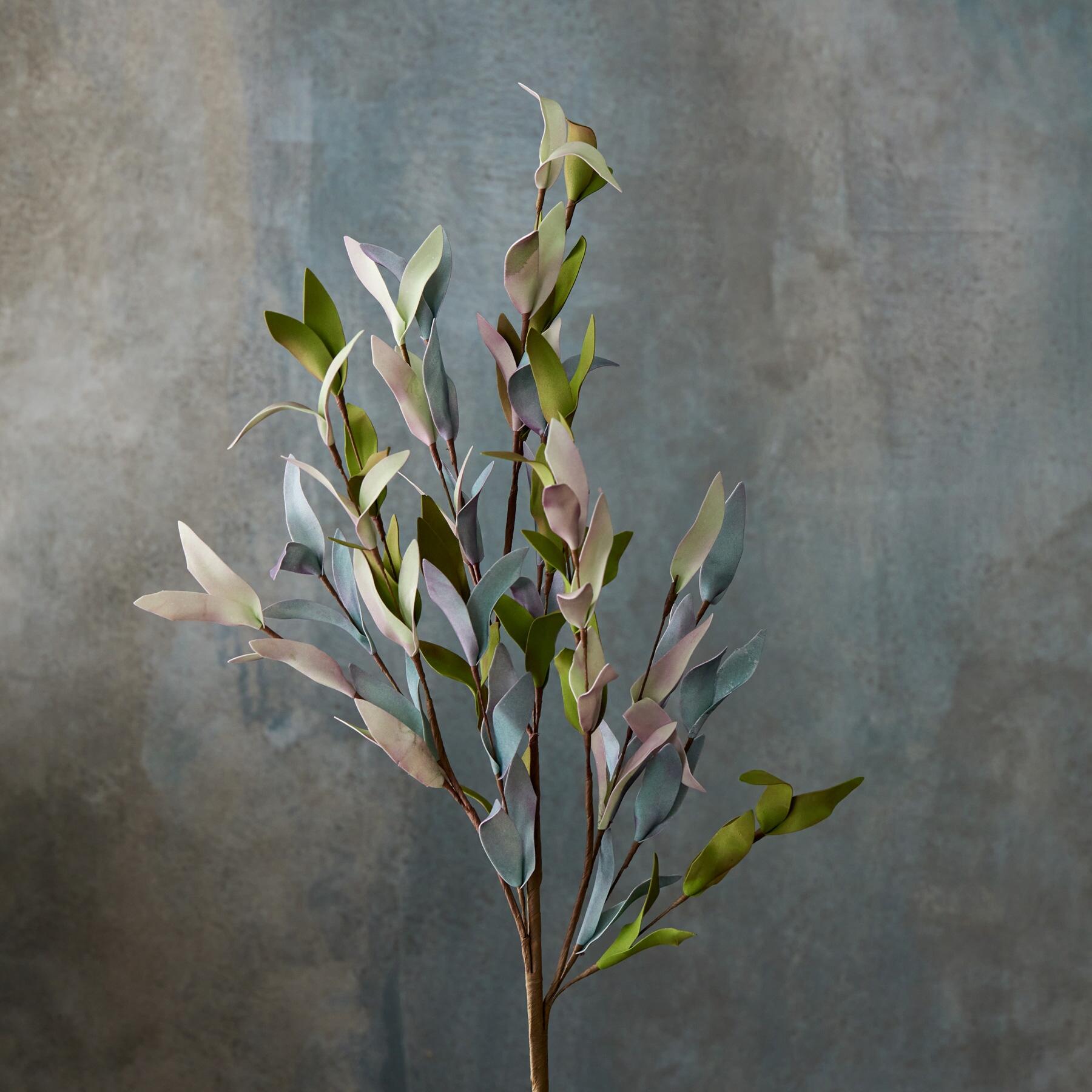 sundance-Bountiful Botanicals-Sundance Outlet