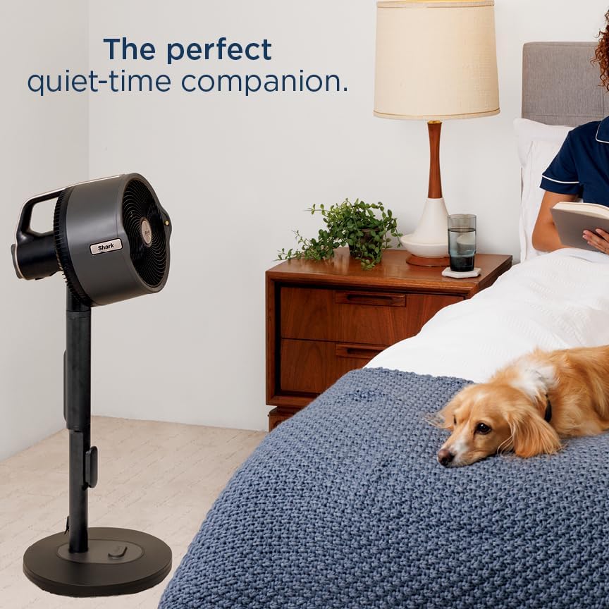Shark FlexBreeze Pro Ventilator mit Kühlnebel (FA302, 2025) – Frische Brise für drinnen & draußen