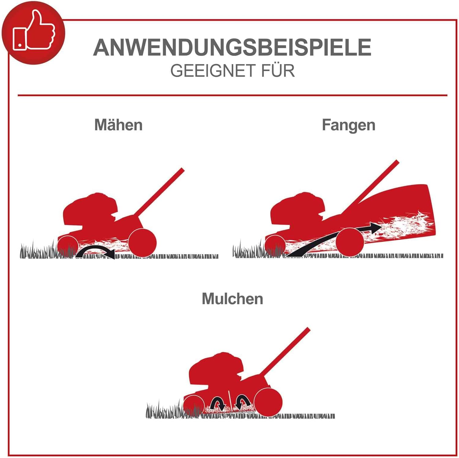 Scheppach MS150-42 Benzin-Rasenmäher – 3,7 PS, 42 cm, Mulch & Fangkorb