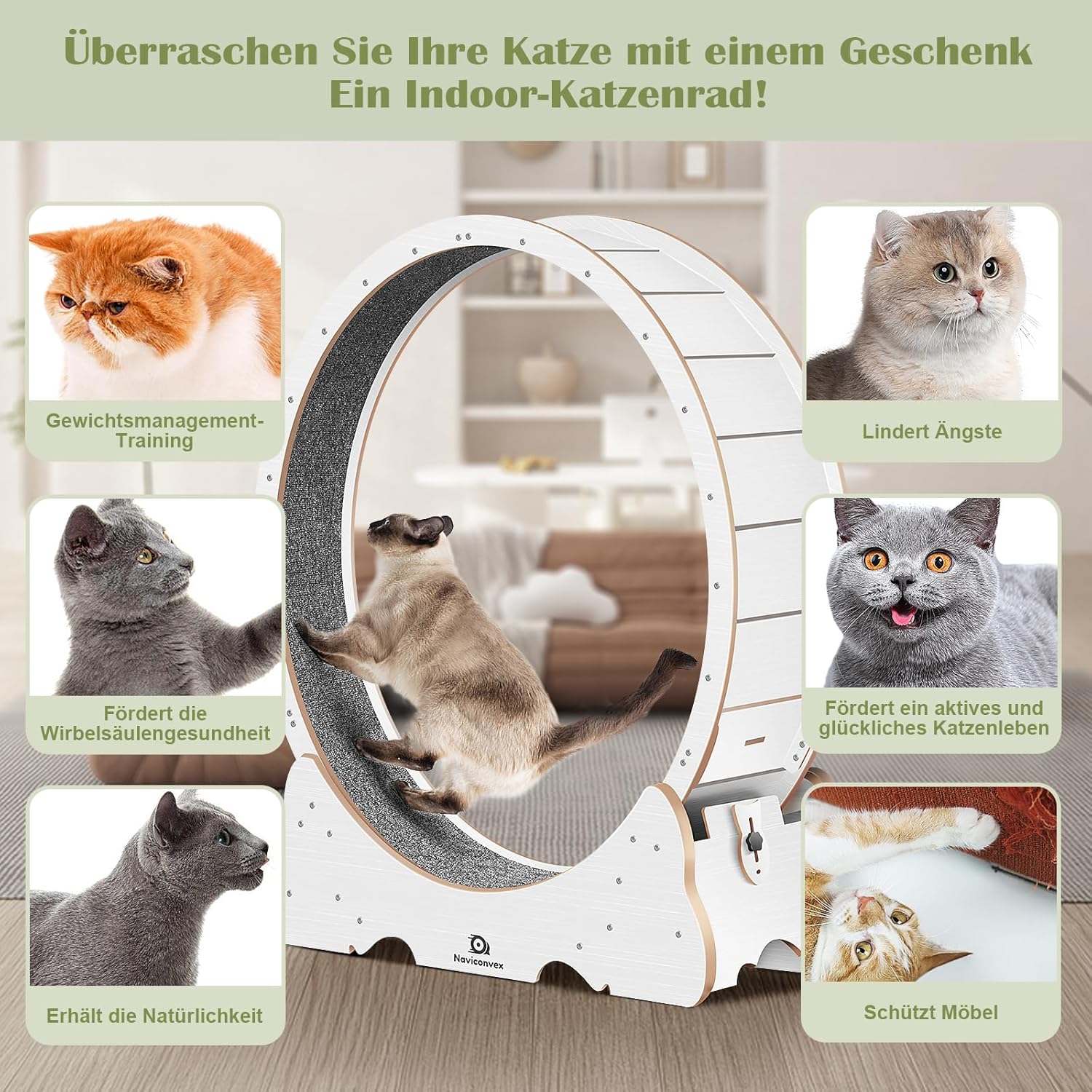 Naviconvex Katzen-Laufrad XXL – Ø 135 cm