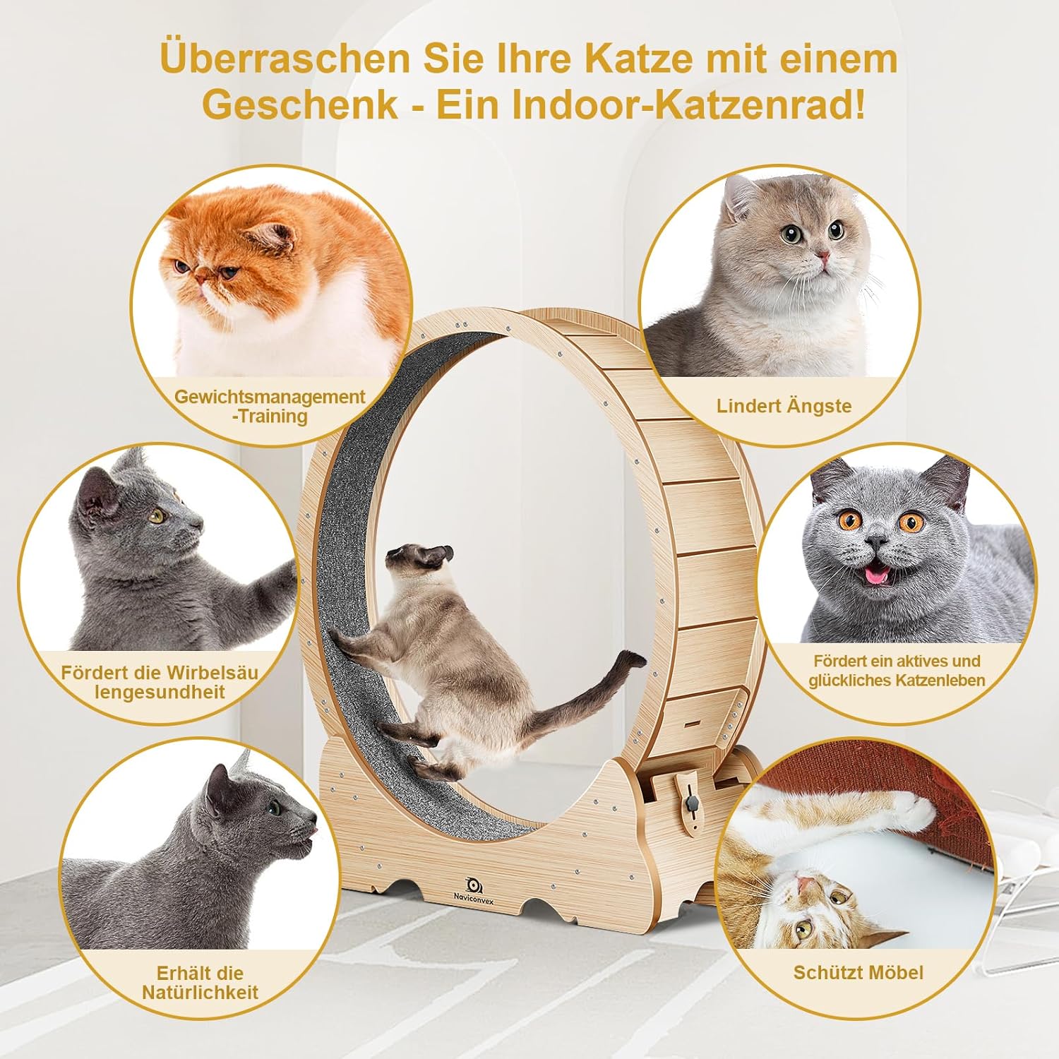 Naviconvex Katzen-Laufrad XXL – Ø 135 cm