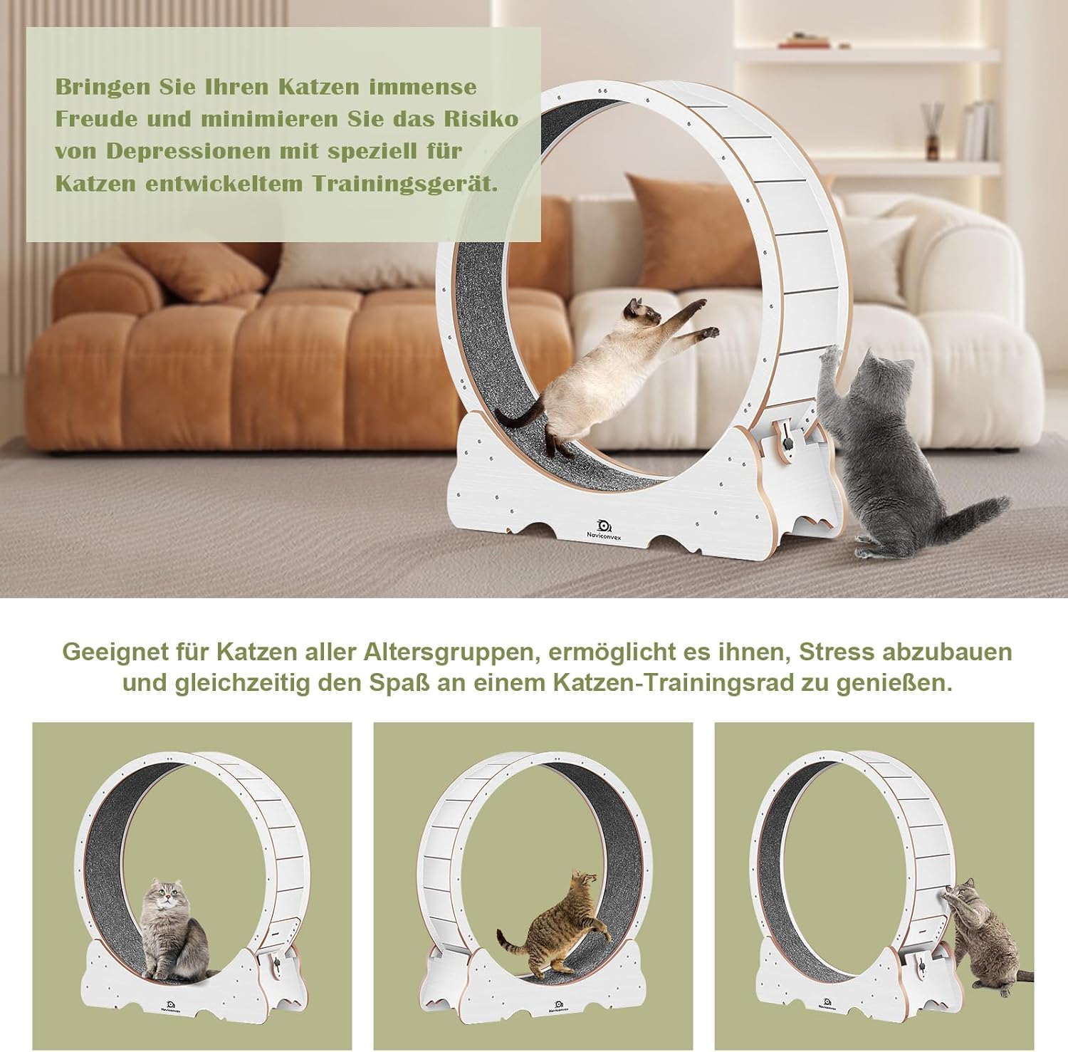 Naviconvex Katzen-Laufrad XXL – Ø 135 cm