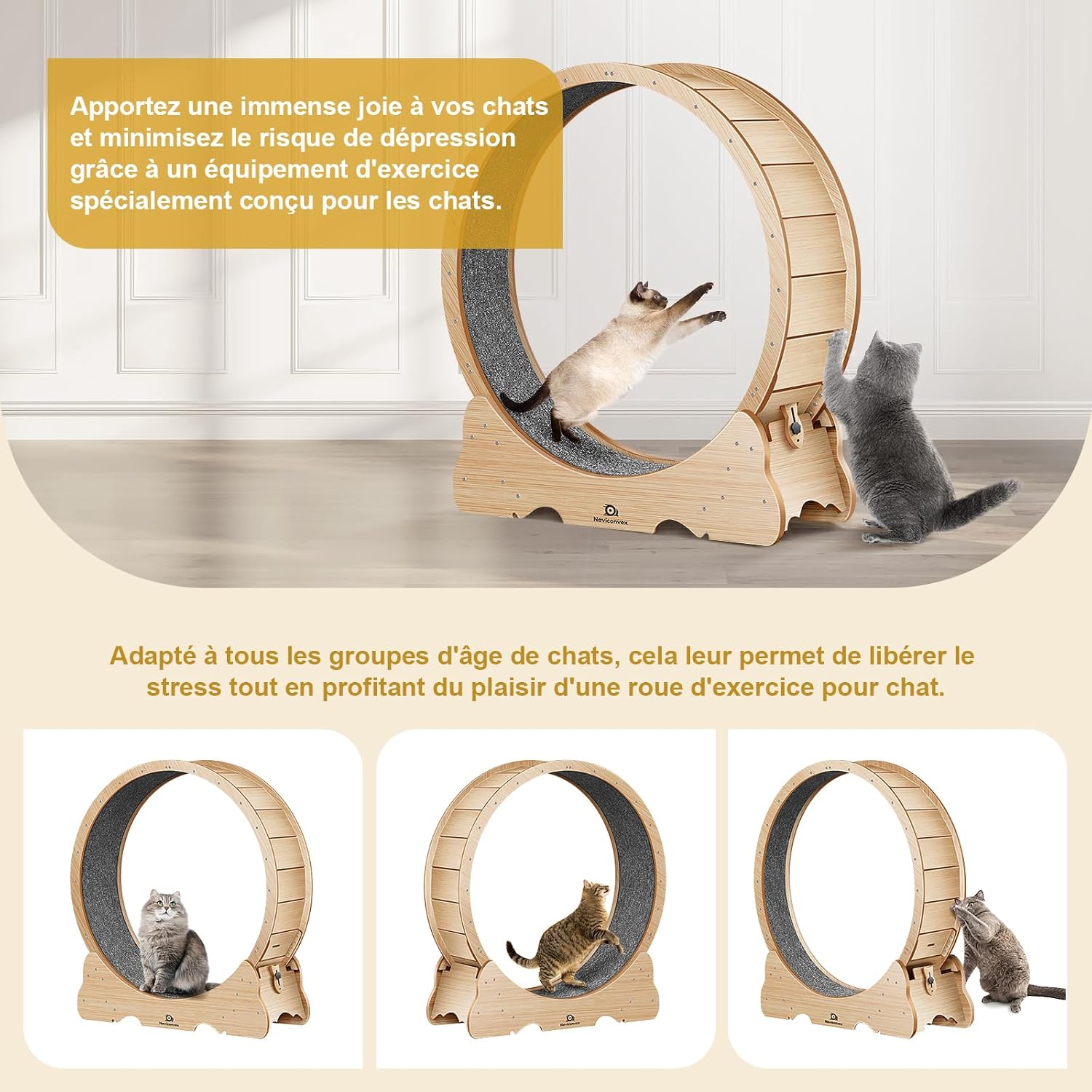 Naviconvex Katzen-Laufrad XXL – Ø 135 cm