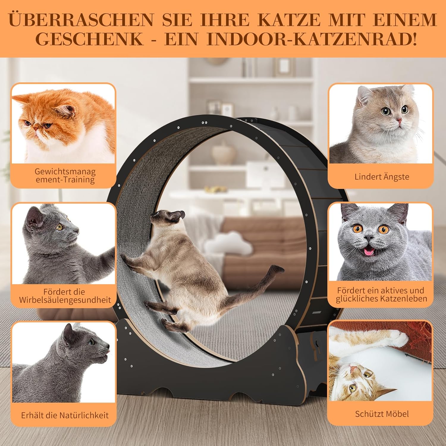 Naviconvex Katzen-Laufrad XXL – Ø 135 cm