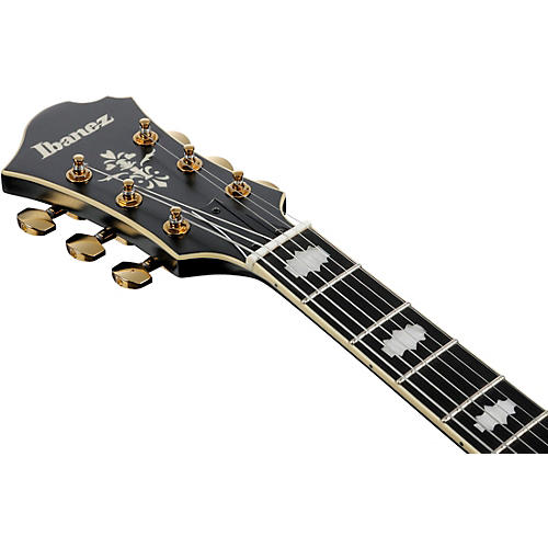 Ibanez Pat Metheny Signature Electric Guitar Black Low Gloss