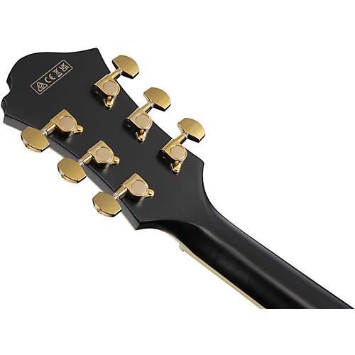 Ibanez Pat Metheny Signature Electric Guitar Black Low Gloss