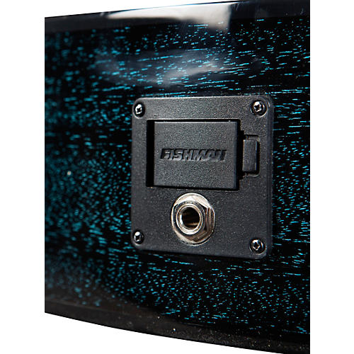 Breedlove Rainforest S African Mahogany Concert Acoustic-Electric Guitar Midnight Blue