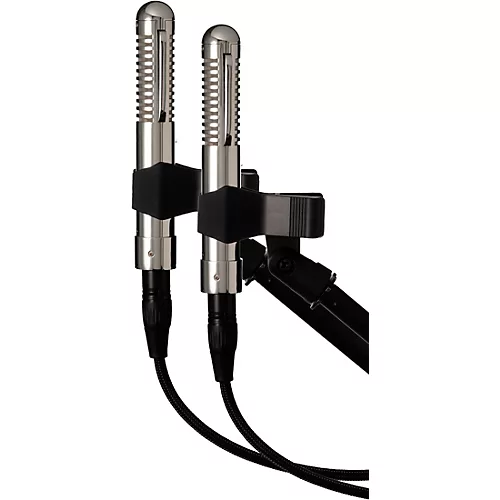 Warm Audio WA-2FT Fen-Tone Instrument Ribbon Microphone With Selectable In-Line Preamp - Stereo Pair