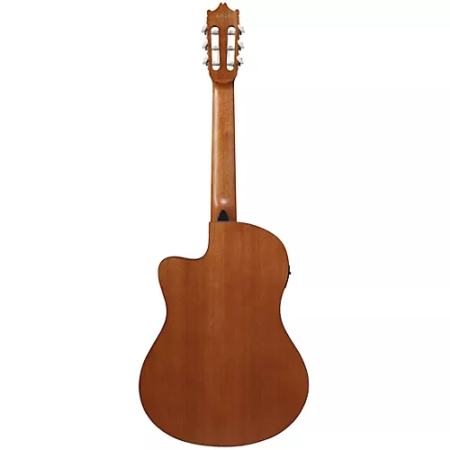 Ibanez GA3ECE Cutaway Acoustic-Electric Guitar Amber