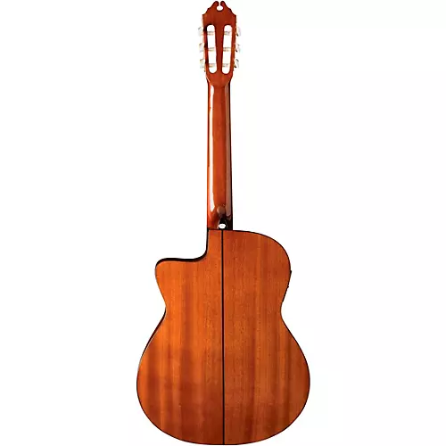 Washburn C5CE Classical Acoustic-Electric Guitar