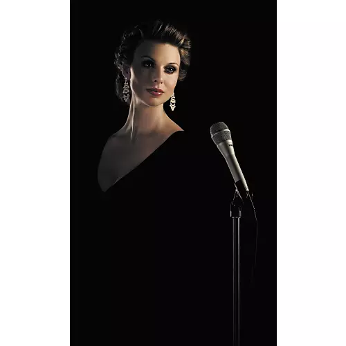 Shure KSM9 Dual-Diaphragm Performance Condenser Microphone Charcoal Gray