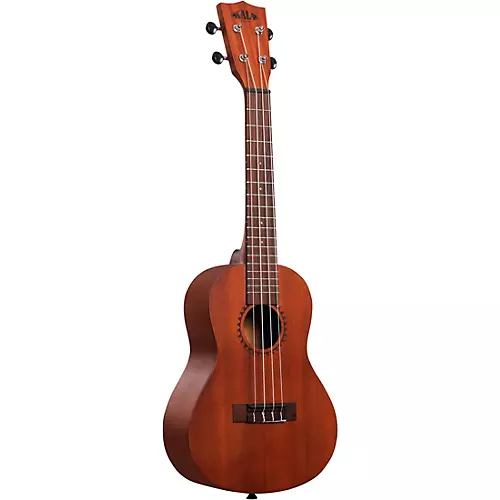 Kala Learn To Play Concert Ukulele Starter Kit