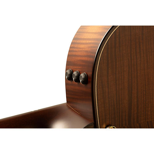 Taylor Builder's Edition 614ce V-Class Grand Auditorium Acoustic-Electric Guitar Wild Honey Burst