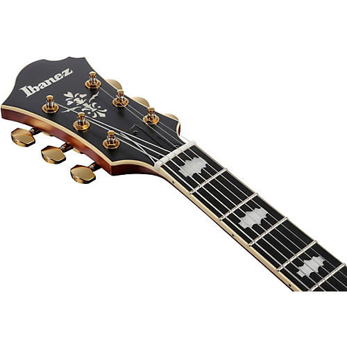 Ibanez Pat Metheny Signature Electric Guitar Black Low Gloss
