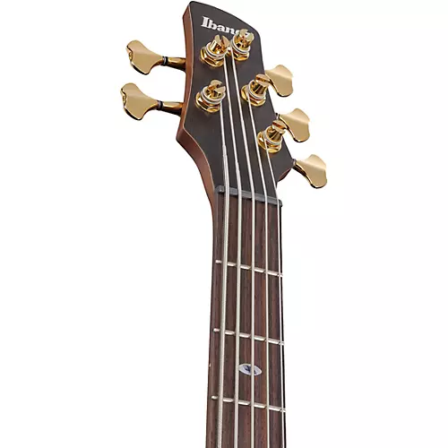 Ibanez Prestige SR6605 5-String Electric Bass Guitar Ghost Fleet Blue Burst