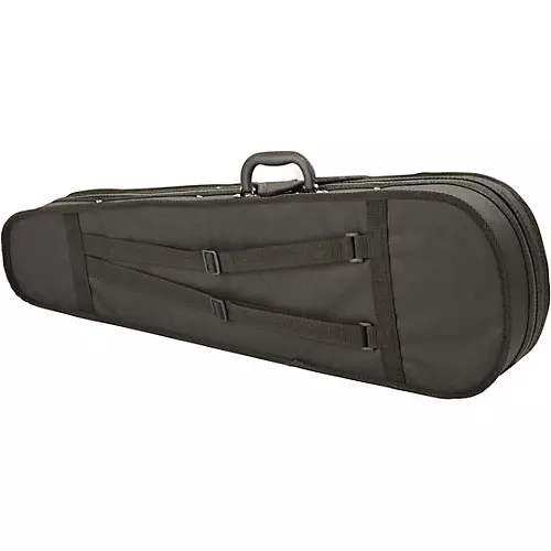 Rozanna's Violins Galaxy Ride Series Violin Outfit 1/2