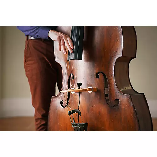 Neumann MC 3: String Clip for MCM Miniature Clip Microphone System: Double Bass