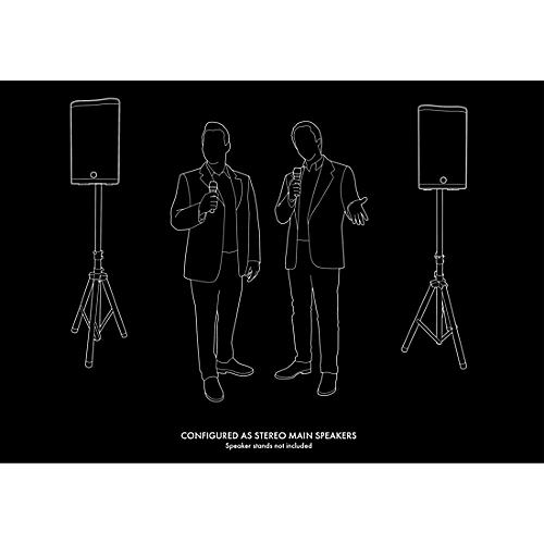 Harbinger M100-BT Portable PA With Bluetooth and Custom Carry Bags 8