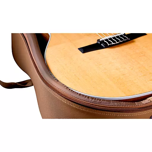 Taylor 214ce-N Grand Auditorium Nylon-String Acoustic-Electric Guitar Natural