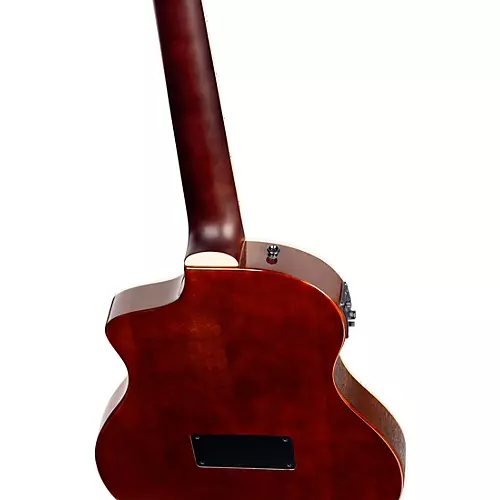 Ortega RTPDLX Acacia Nylon-String Acoustic-Electric Guitar Tobacco Burst