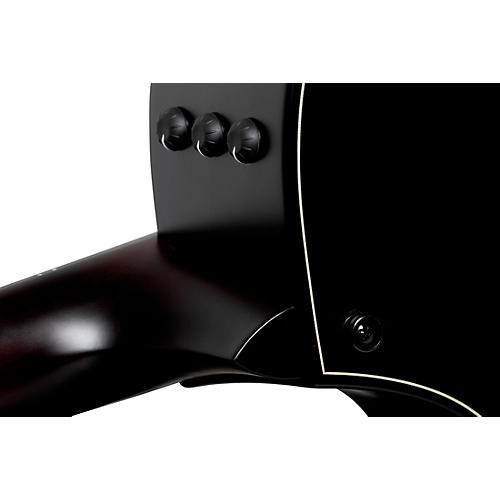 Taylor Builder's Edition 324ce Grand Auditorium Acoustic-Electric Guitar Tobacco Kona Burst