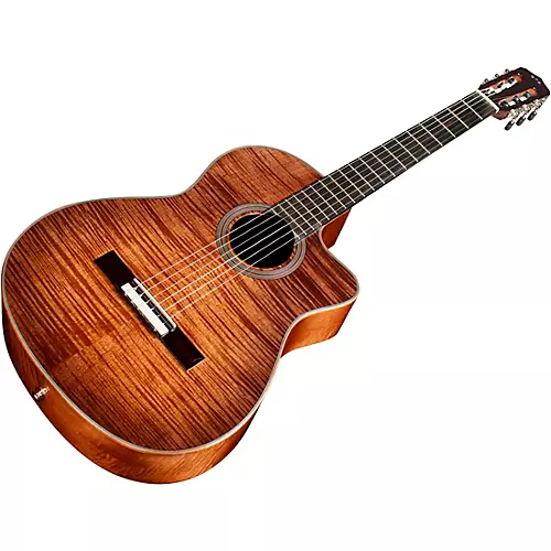 Cordoba Fusion 12 Exotic Top Nylon-String Classical Acoustic-Electric Guitar Cinnamon Burst