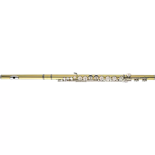 Yamaha YFL-A421 Professional Alto Flute YFL-A421BII with Straight and Curved Headjoints