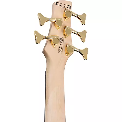 Ibanez GSR205PC 5-String Electric Bass Guitar Transparent Pale Black Burst