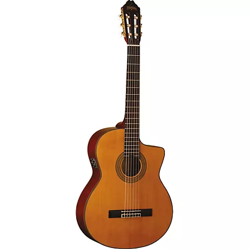 Washburn C64SCE-A Classical Acoustic-Electric Guitar