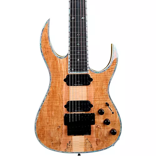 B.C. Rich Shredzilla 7 Prophecy Archtop with Floyd Rose 7-String Electric Guitar Spalted Maple