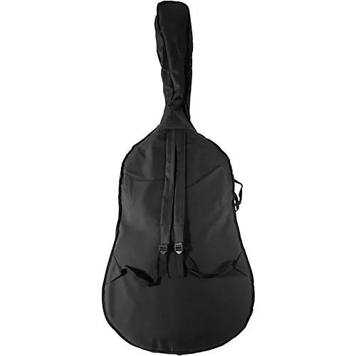 Scherl and Roth SR68 Sarabande Series Intermediate Double Bass Outfit with German Bow 3/4