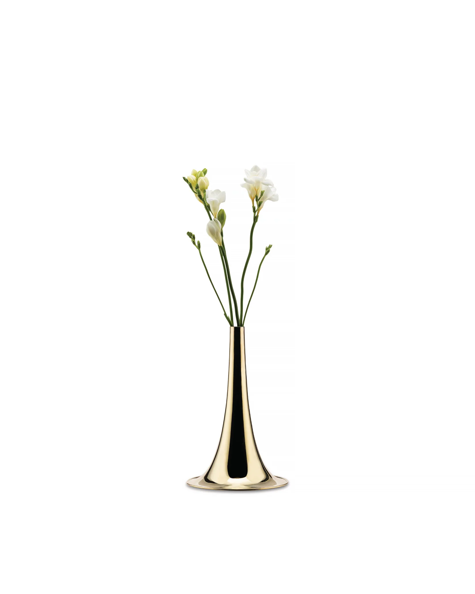 Alessi Trumpet Flower vase Design Michael Anastassiades