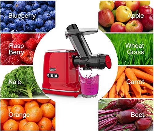 Juicer Machines, Orfeld Cold Press Juicer with 95% Juice Yield & Purest Juice, Easy Cleaning & Quiet Motor Masticating Juicer Machines for Vegetables and Fruits (Green)